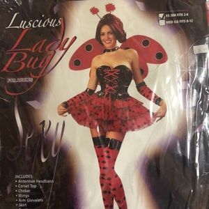 Ladybug Halloween costume
